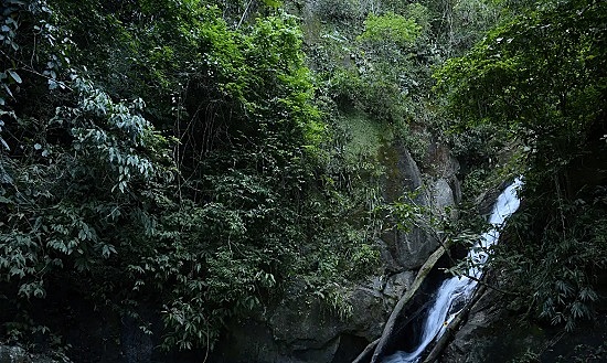 Parque Nacional da Tijuca 