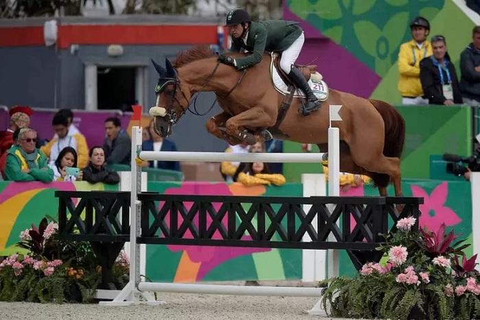 Cavalo saltando no hipismo