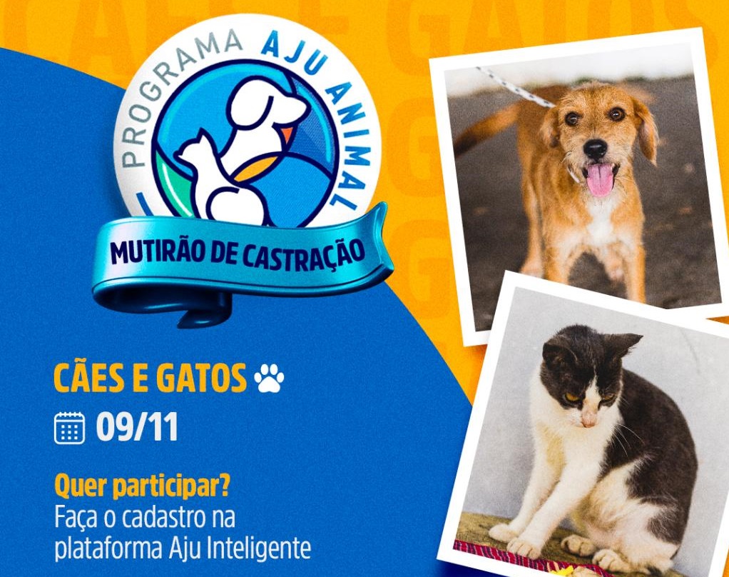 Aju Animal: Prefeitura promove mutirão de castração