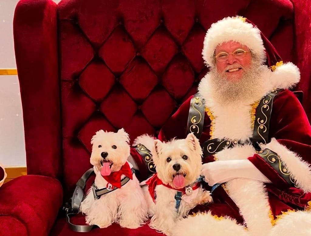 Papai Noel com Pets