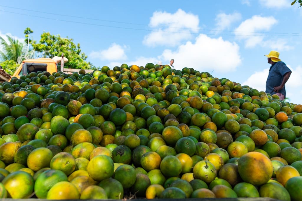 Laranja