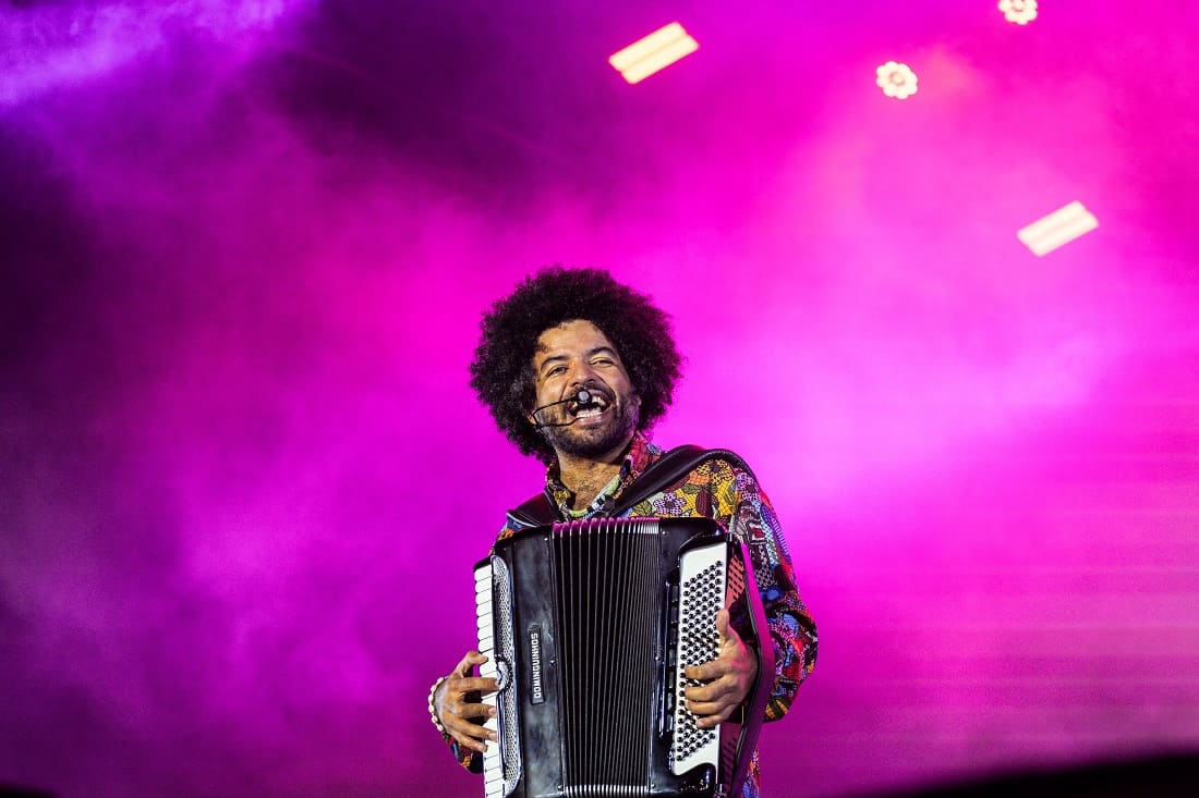 Sanfoneiro Mestrinho