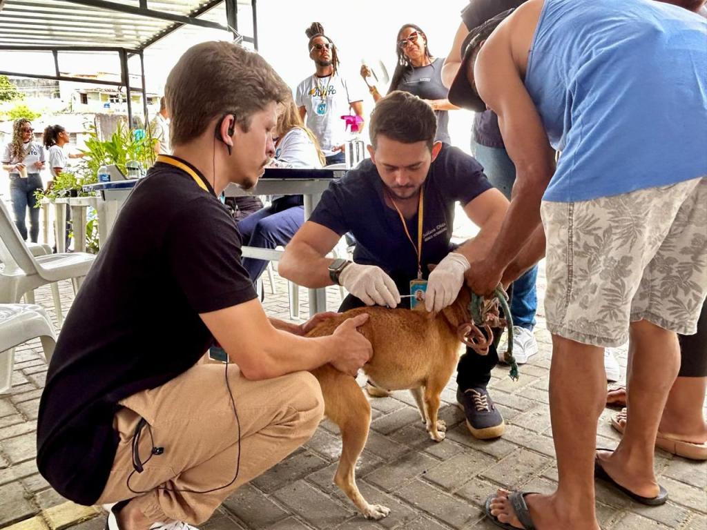 Servidores do Tamo Junto Aracaju cuidando de um cão