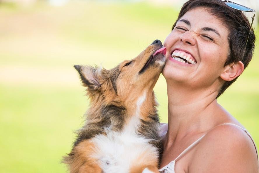 Cachorro lambendo uma mulher no rosto