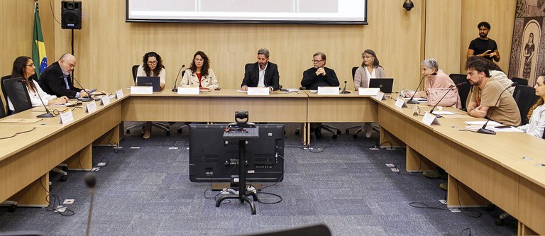 Conselho Consultivo do Instituto do Patrimônio Histórico e Artístico Nacional (Iphan) / Foto: Mariana Alves/Iphan