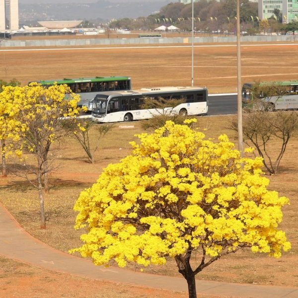 © José Cruz/Agência Brasil