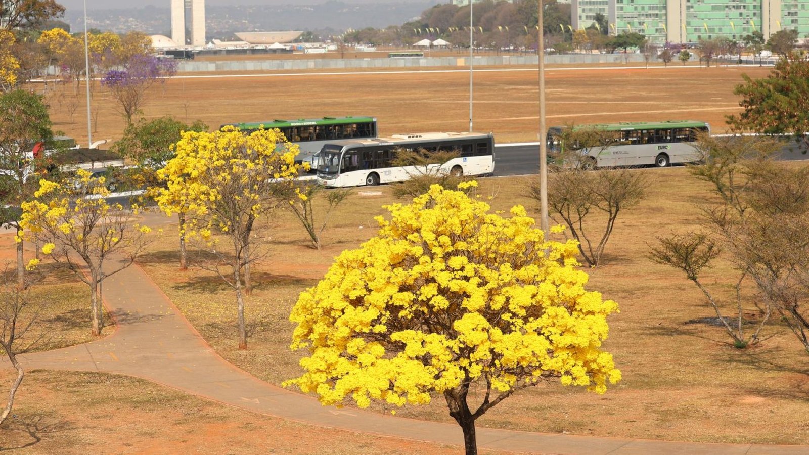 © José Cruz/Agência Brasil