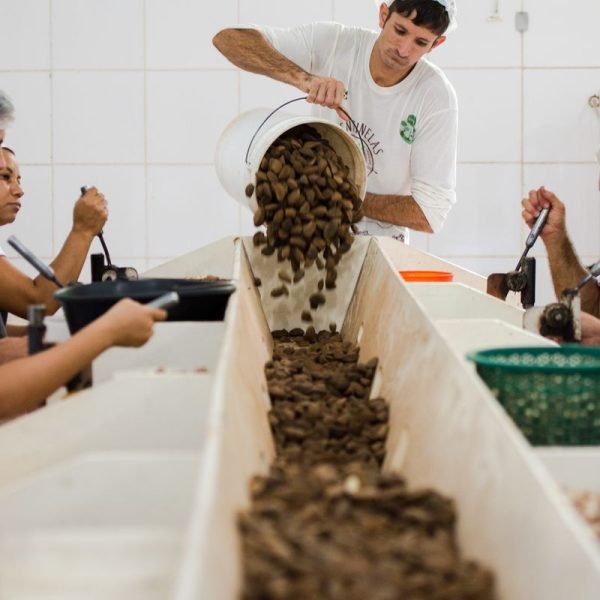 © Marcelo Camargo/Agência Brasil
