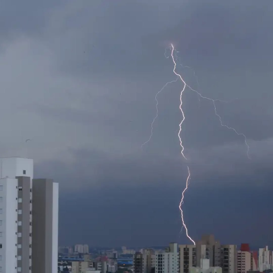 © REUTERS/Amanda Perobelli/Proibida reprodução