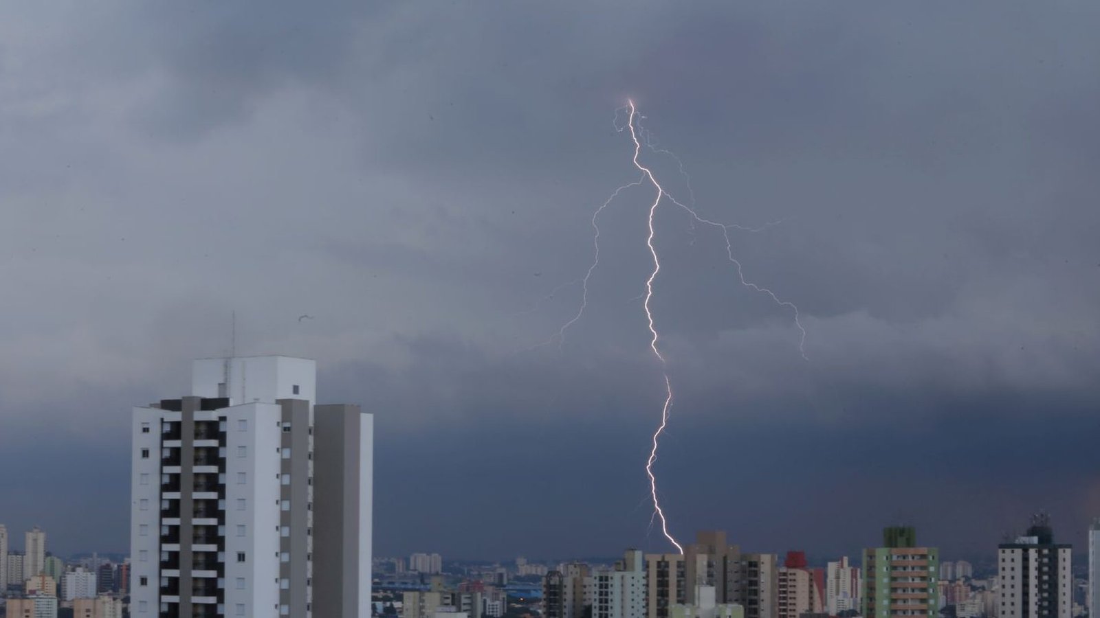 © REUTERS/Amanda Perobelli/Proibida reprodução