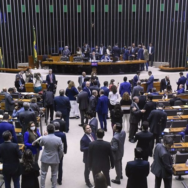 © Jefferson Rudy/Agência Senado/Direitos Reservados