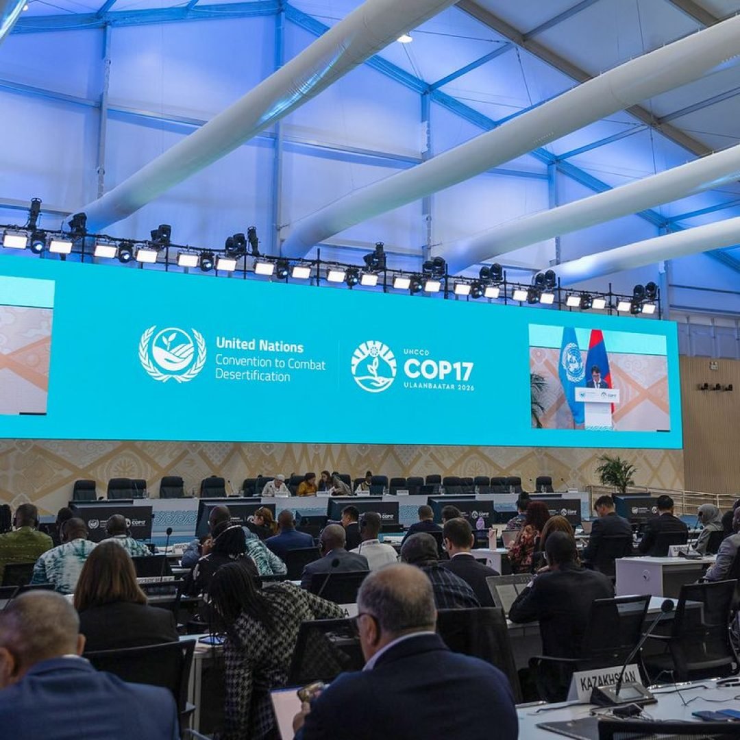 © UNCCD/Kiara Worth