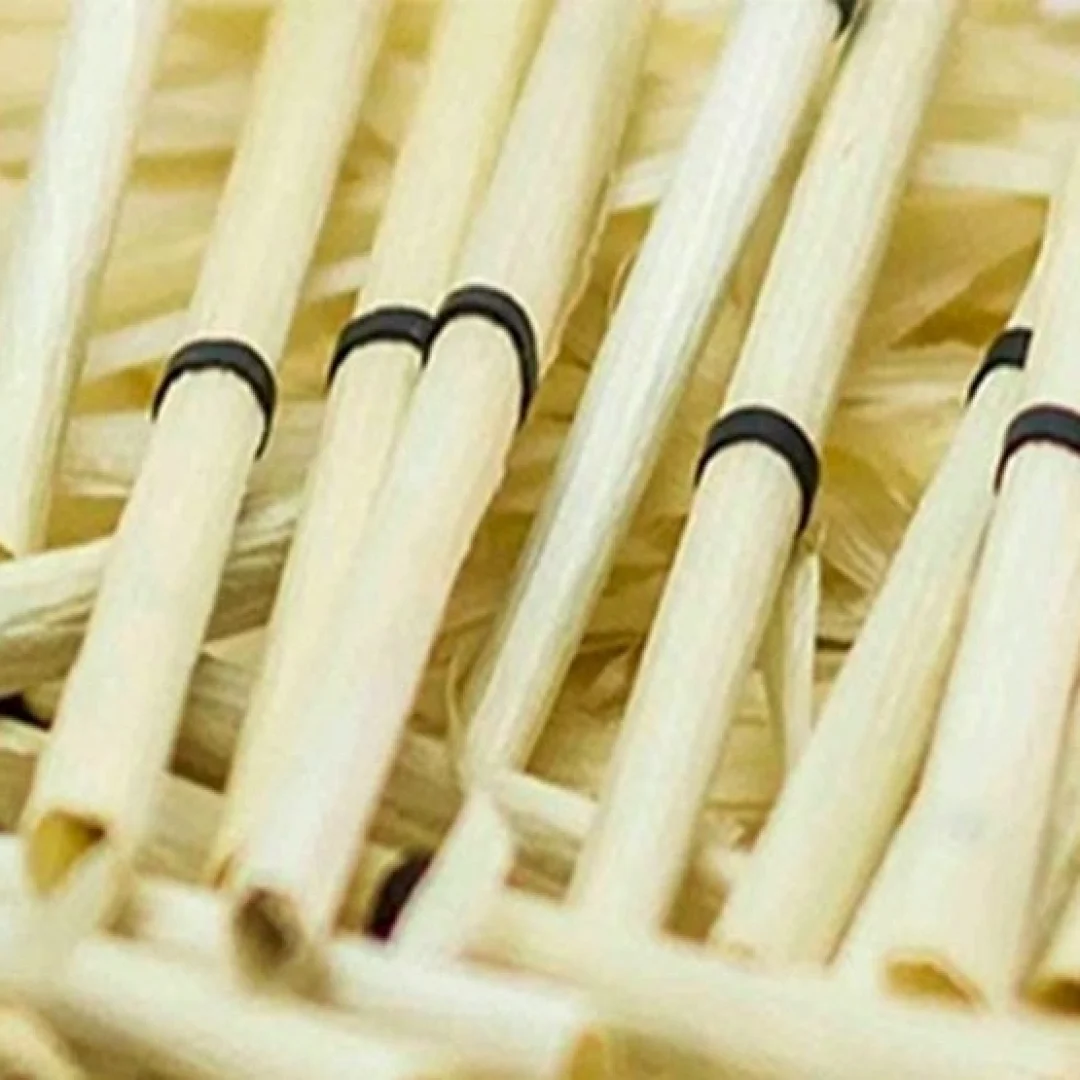 CIGARRO-DE-PALHA