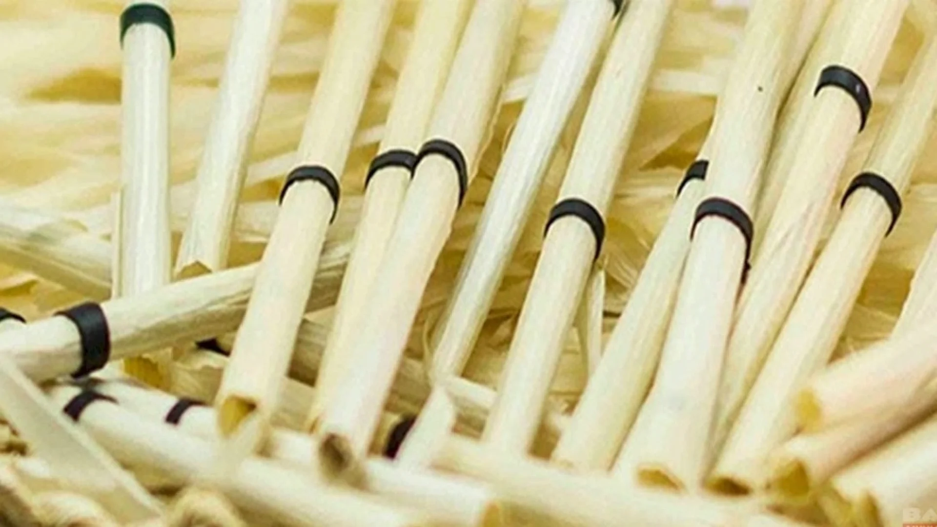 CIGARRO-DE-PALHA