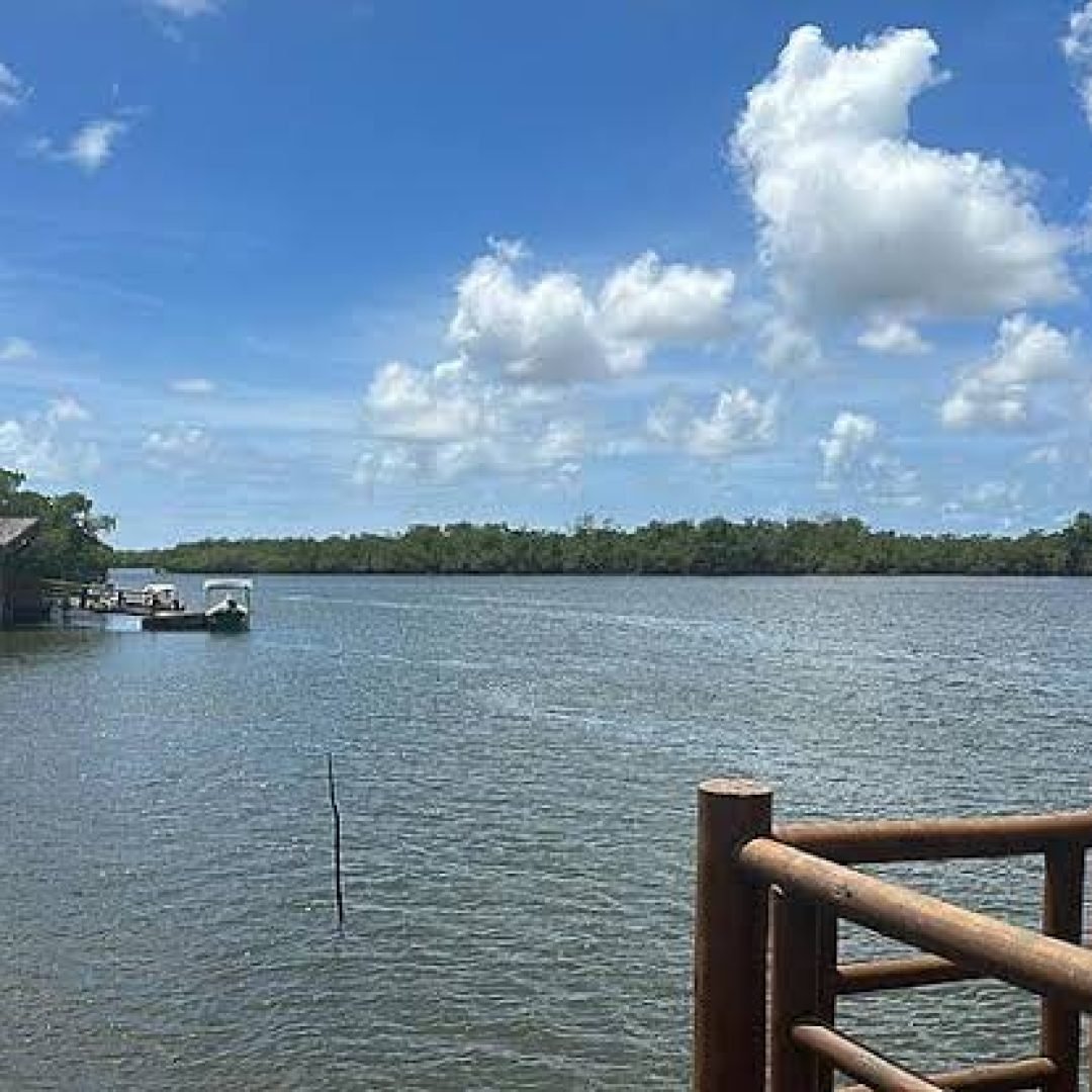 Ilha Mem de Sá-Itaporanga (2)