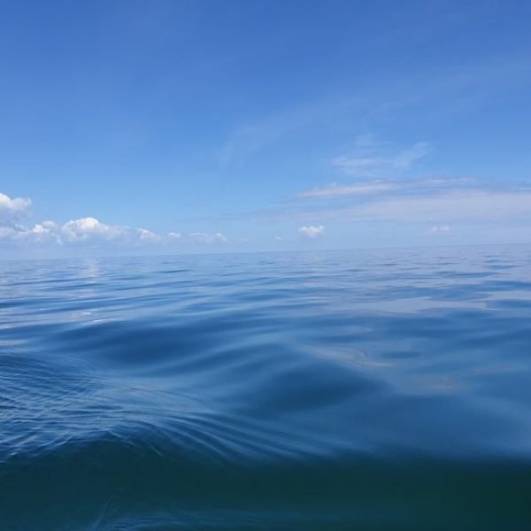 Oceano pacifico
