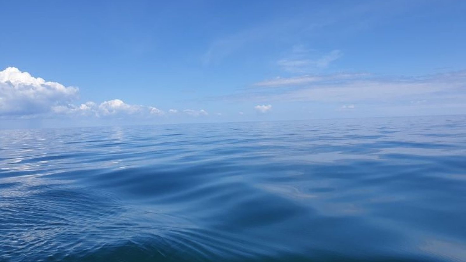 Oceano pacifico