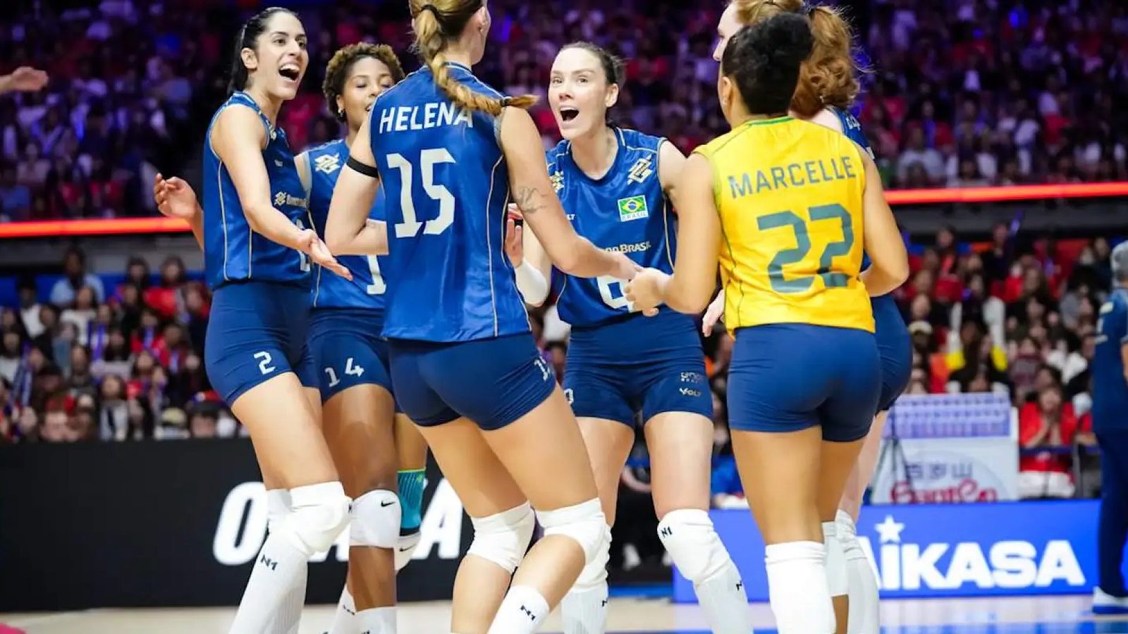 © Divulgação/World Volleyball