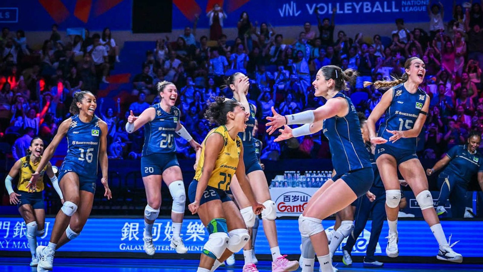 © Divulgação/Volleyball World