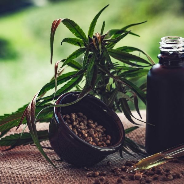 © CBD-Infos-com/ Pixabay