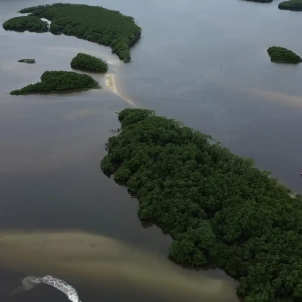 © Fernando Frazão/Agência Brasil
