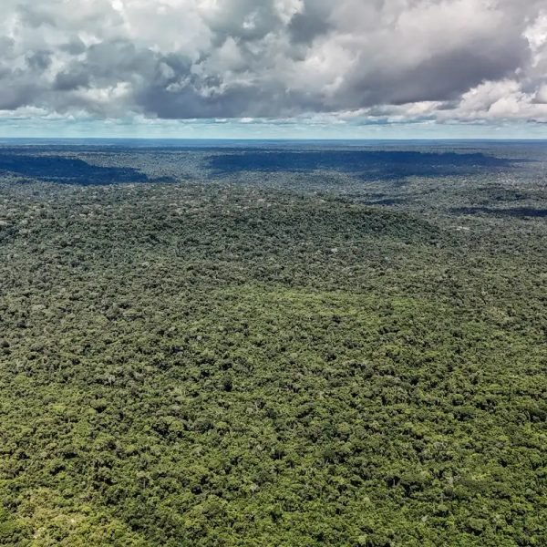 © Rafa Neddermeyer/Agência Brasil