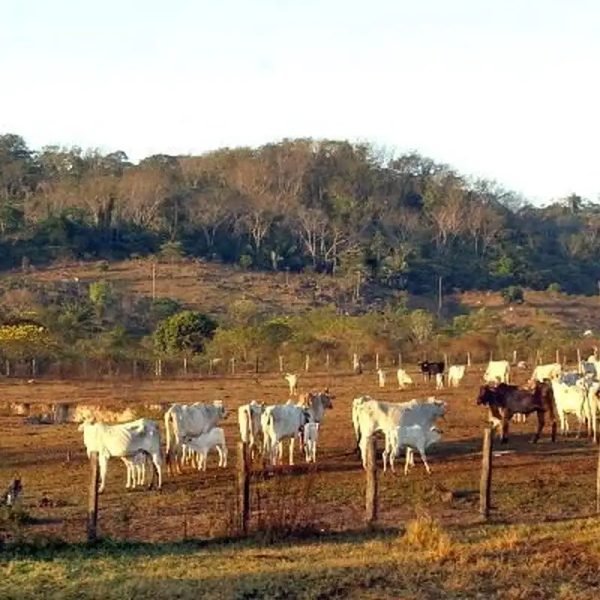 © Marcello Casal jr/Agência Brasil