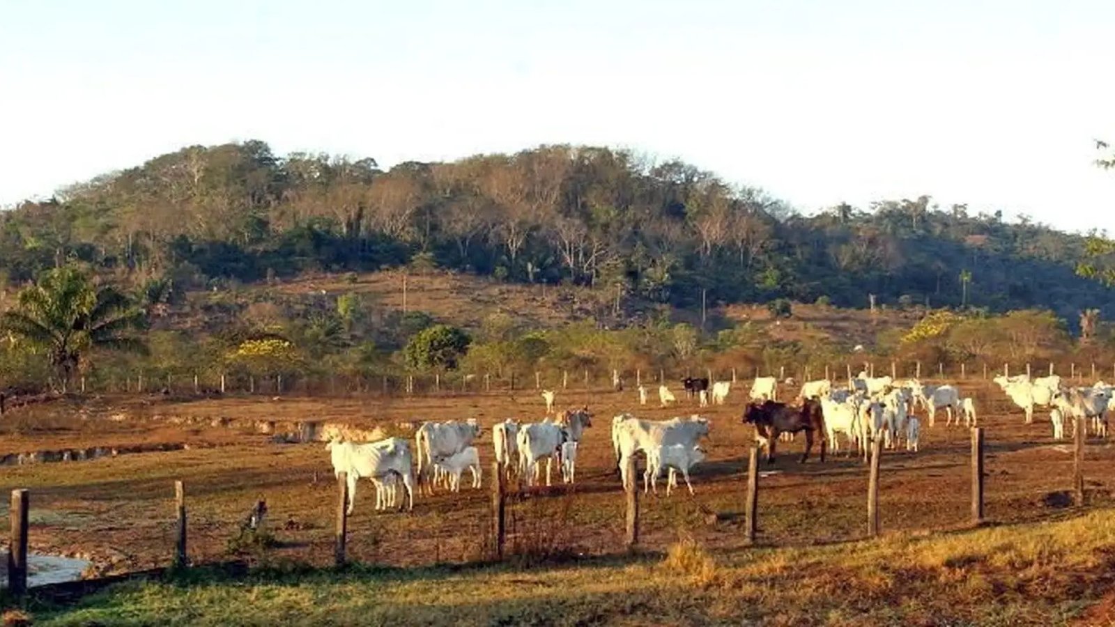 © Marcello Casal jr/Agência Brasil