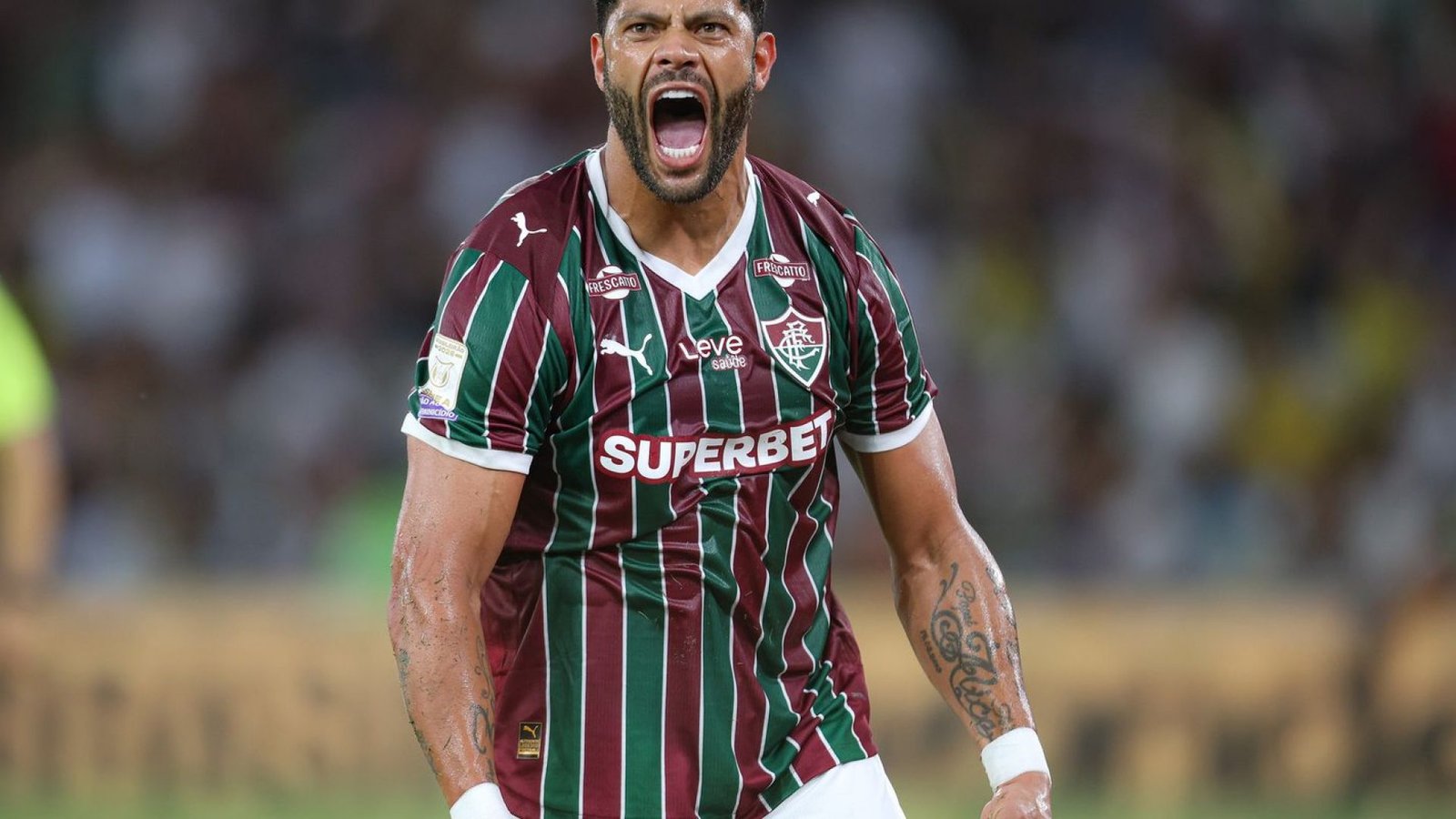 © Marcelo Gonçalves/Fluminense F.C