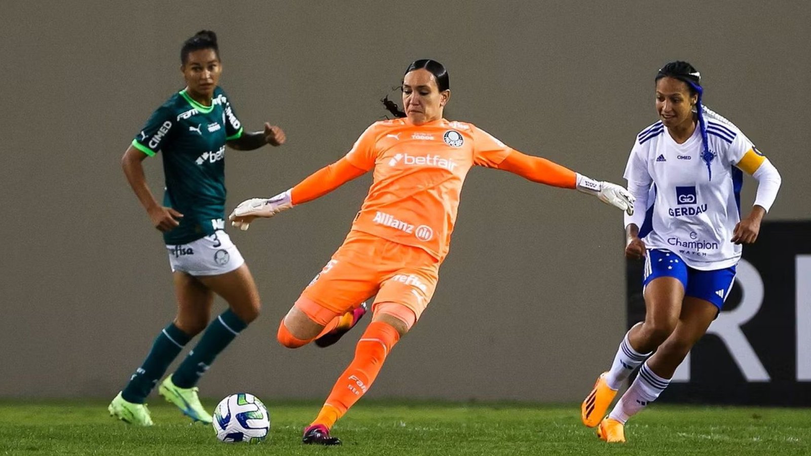 © Divulgação/SE Palmeiras